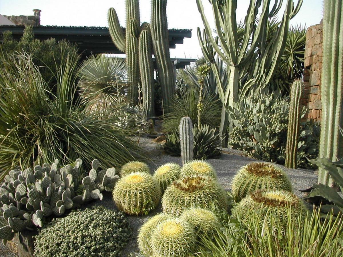 Residenza Delle Palme *